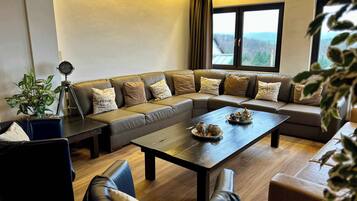 Fernseher, Kamin, DVD-Player, Arbeitsbereiche