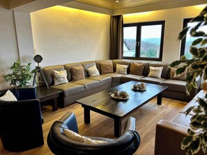 电视、壁炉、DVD 播放器、办公室