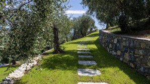 A stone pathway leading uphill, surrounded by lush green grass and olive trees. - Olivuzza a Santa Margherita by Wonderful Italy (Santa Margherita Ligure)