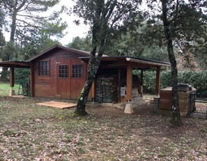 A rustic wooden cabin with a porch, surrounded by trees and a grassy area.
