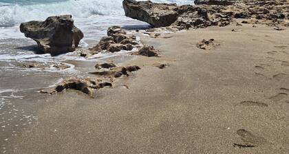 Just Beachy: A Breezy 1-Bedroom Escape