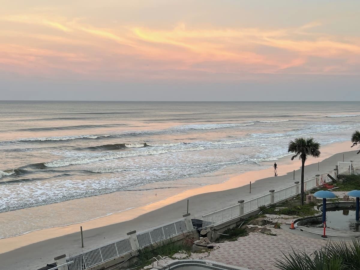 A beach with a walking path, palm trees, and a fence along the shore.