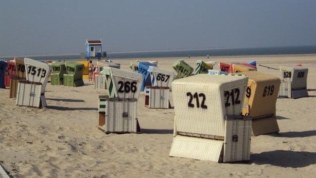 Beach huts numbered 212, 266, and 619 on a sandy beach.