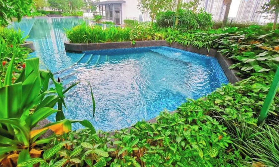 A swimming pool surrounded by lush greenery and modern buildings in the background.