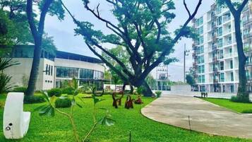 Terrein van de accommodatie