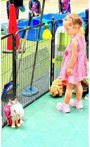 Children’s area