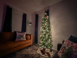 Smart TV, fireplace, video games, books