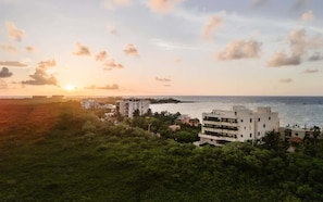 A coastal view with buildings, greenery, and the ocean.
