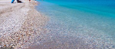 Apartment | Internet