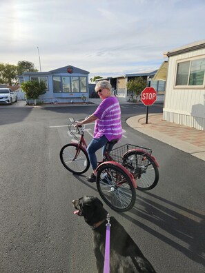 المنطقة المحيطة بالمنشأة