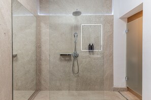 Shower, hair dryer, towels