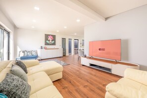 Televisión 