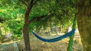 Un hamac tendu entre deux arbres dans une zone boisée.