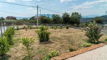 Un jardin avec différentes espèces de plantes et un chemin de gravier.