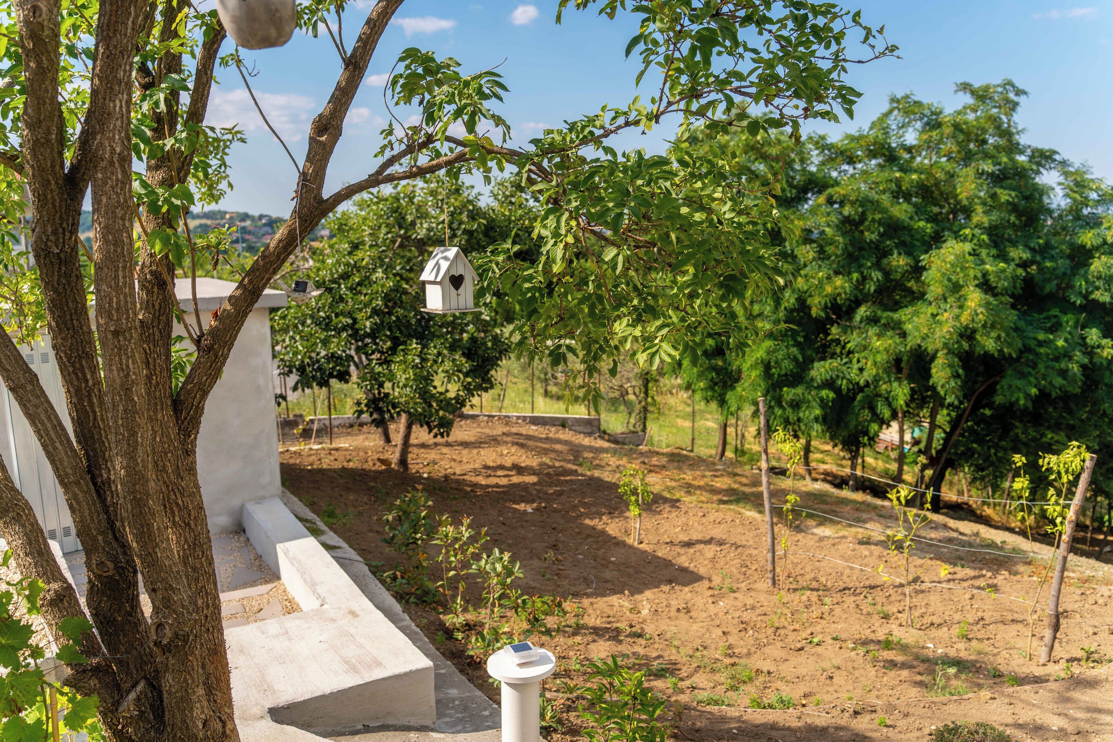 Ein Garten mit einem weißen Vogelhaus, das an einem Baum hängt, einer weißen Bank und einem eingezäunten Bereich mit jungen Pflanzen.
