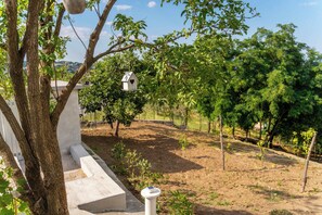 Un jardín con un comedero blanco colgando de un árbol, un banco blanco y un área cercada con plantas jóvenes.