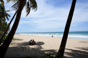 Una playa con palmeras, una orilla arenosa y el océano al fondo.