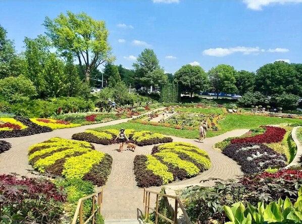 Áreas de la propiedad