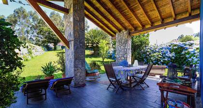 Lua's blue house: A magical place