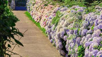 Àrea exterior de l'allotjament