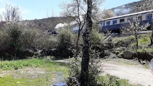 A train passing through a rural landscape with trees and a clear sky.