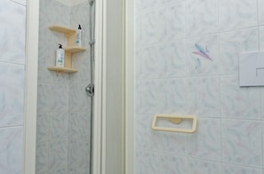 Hair dryer, towels, toilet paper