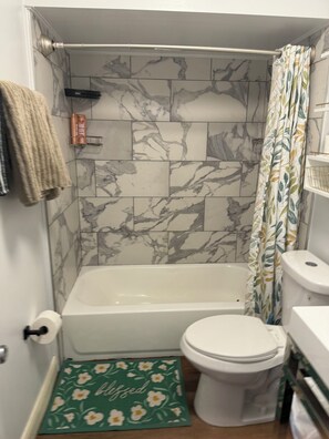 Towels, soap, shampoo, toilet paper - 3-bedroom house in fabulous St. Louis with AC (St. Louis)