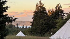 Ein Campingplatz mit zwei Zelten, umgeben von dichtem Wald und Blick auf eine ferne Stadt.