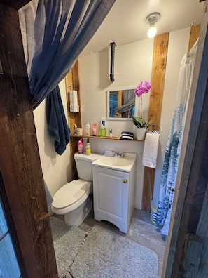 Shower, towels, soap, toilet paper
