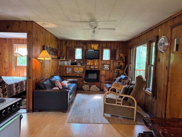 Televisión y chimenea 