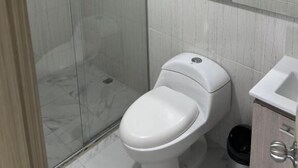 Een moderne badkamer met een douche met glazen wand, een wit toilet en een wastafel met een spiegel erboven.