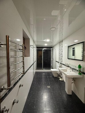 Shower, hair dryer, towels