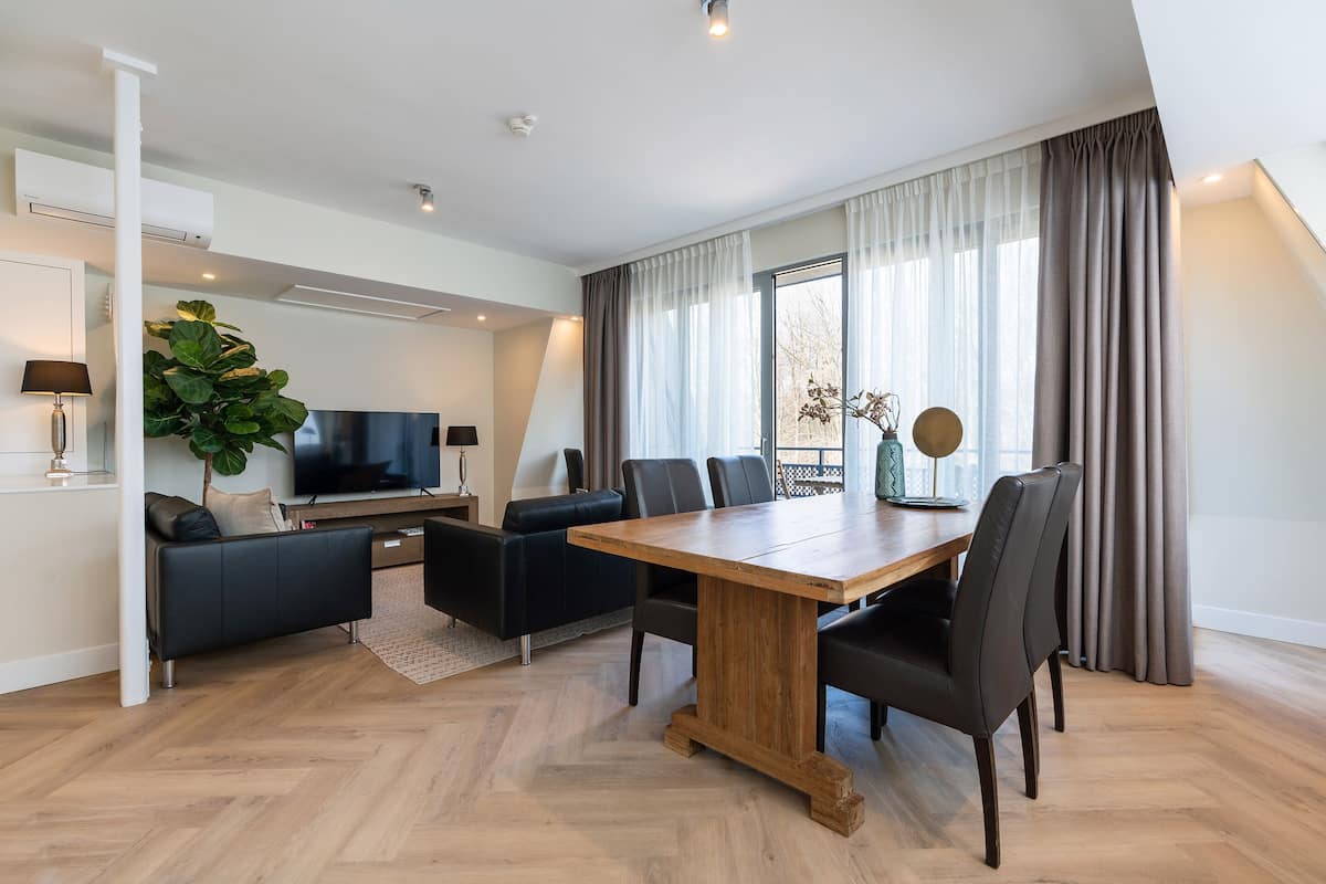 Executive 102D | Iron/ironing board, free WiFi