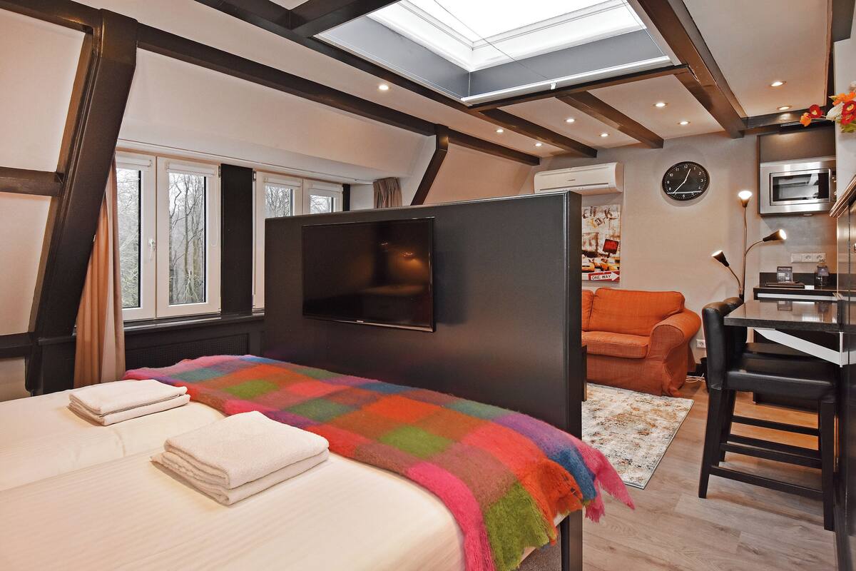 A bedroom with a bed, a TV, a sofa, and a kitchen area.