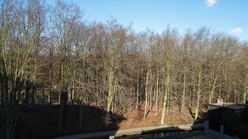A riverside view with a small house and a bridge.