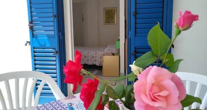 Spacious and cozy suite near the sea, pets allowed allowed