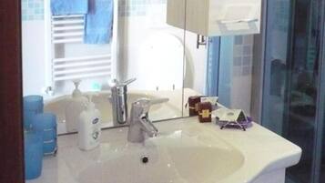 Shower, hair dryer, bidet, towels