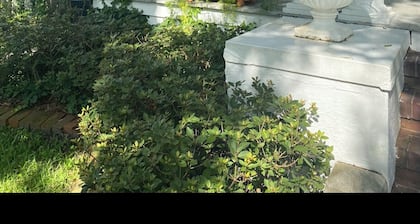 Charming 1 bedroom apartment in peaceful Wilmington Historic Downtown.