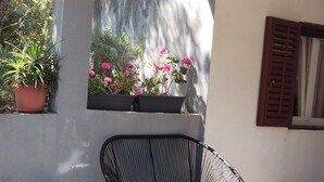 Una silla negra con cojín, una planta en maceta y una ventana con contraventanas.