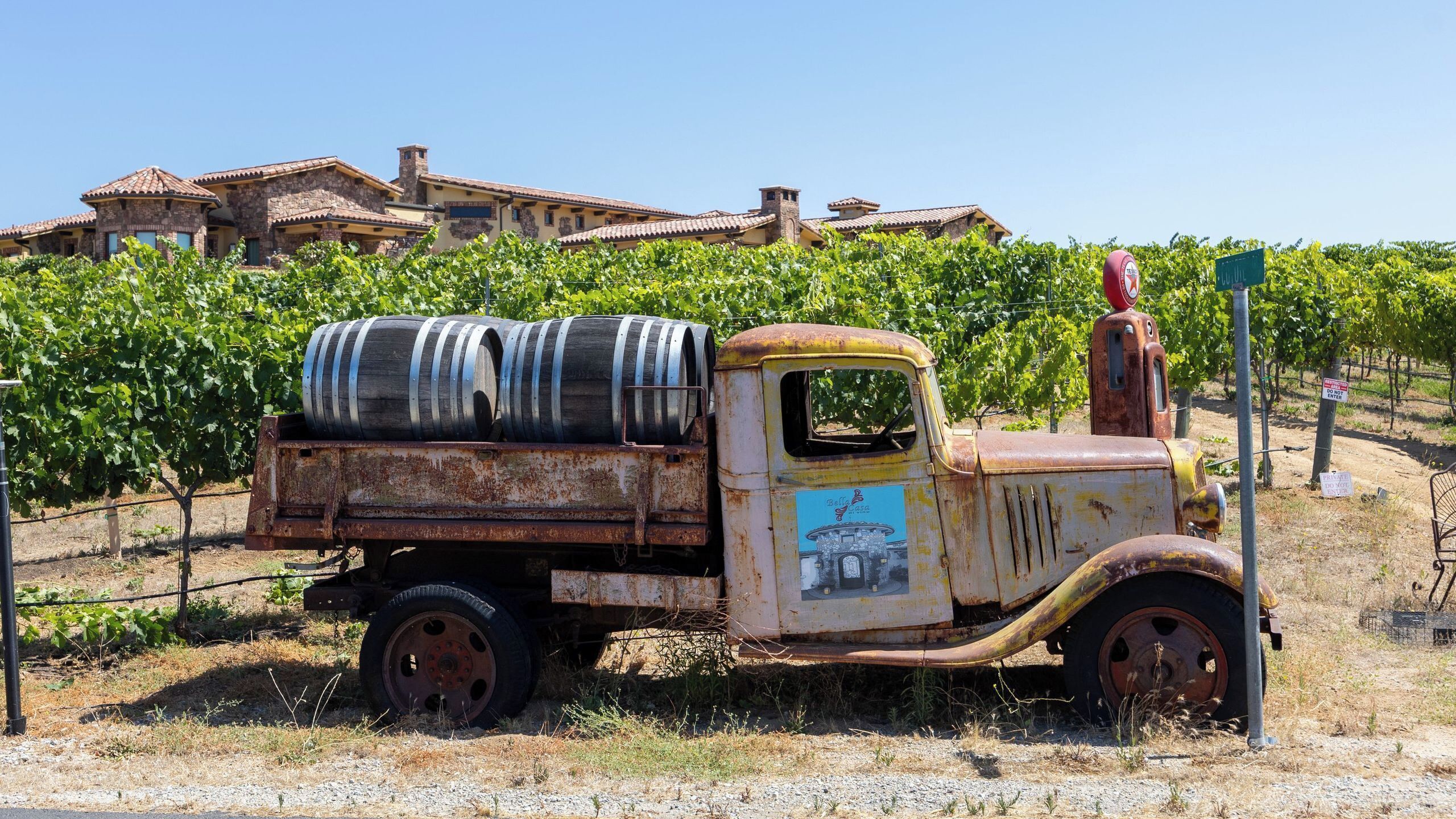 An old, rusted truck parked in a vineyard with a building in the background.