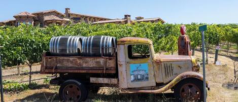 An old, rusted truck parked in a vineyard with a building in the background.