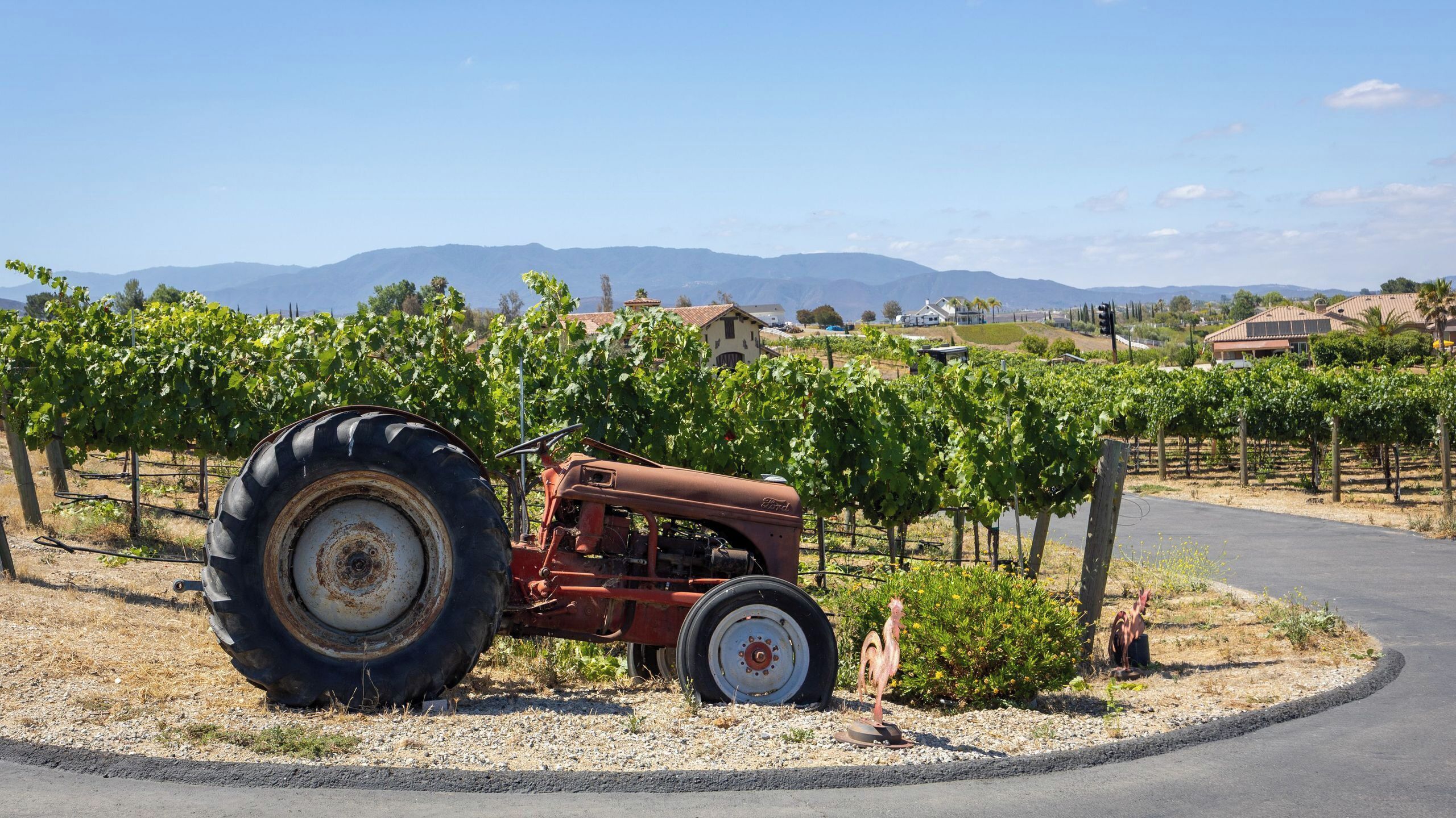 A vintage tractor in a vineyard with a clear sky and distant mountains.