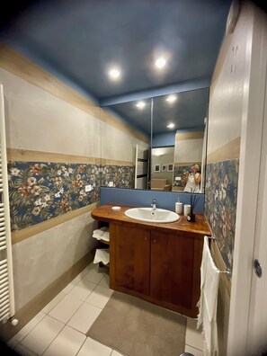 Hair dryer, towels, soap, toilet paper