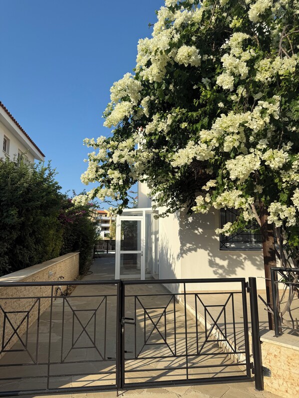 المنطقة المحيطة بالمنشأة