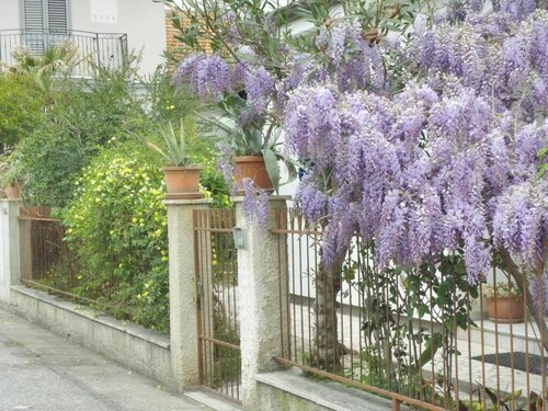 Spacious and cozy equipped apartment in the center near the beach