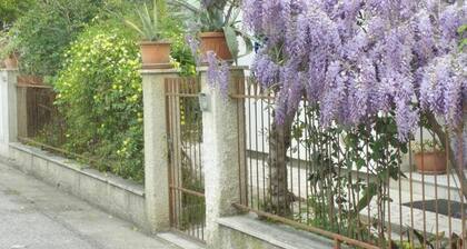 Spacious and cozy equipped apartment in the center near the beach