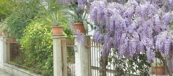 Spacious and cozy equipped apartment in the center near the beach