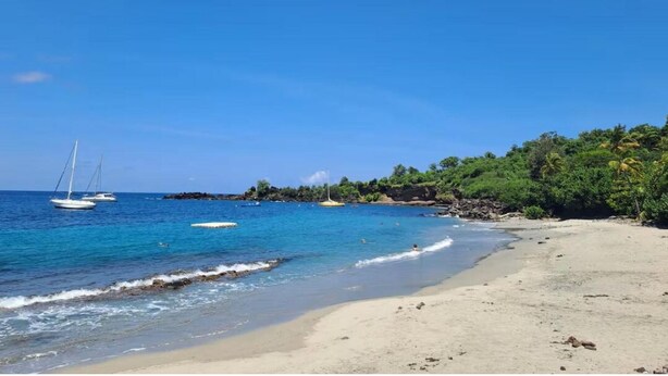 Una playa con agua azul cristalina, barcos y una orilla arenosa con vegetación.