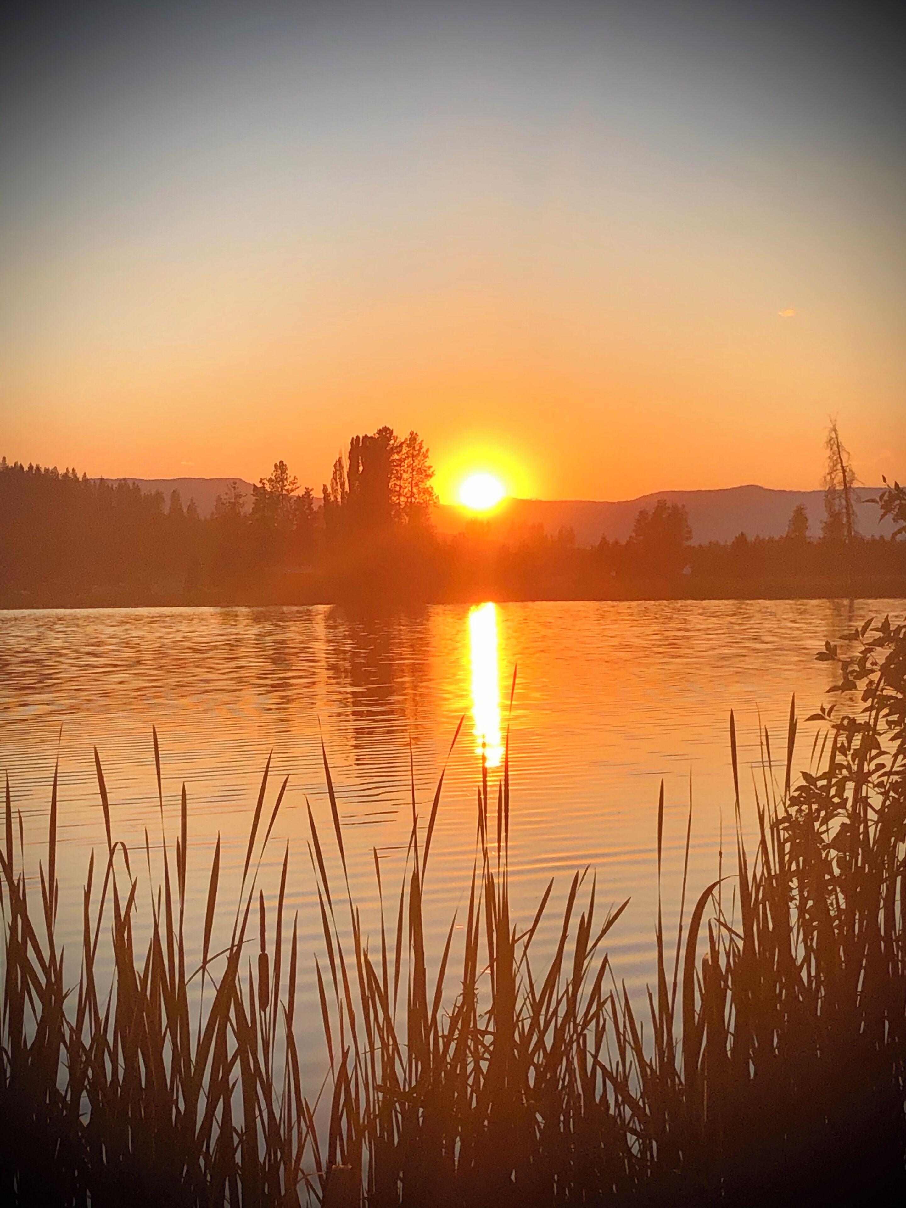 Un atardecer sobre un lago tranquilo con árboles al fondo.