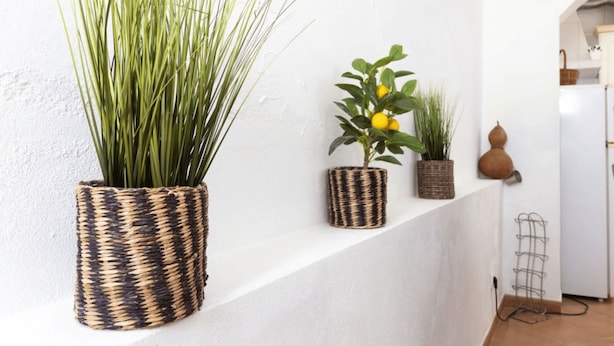 Pared blanca con tres macetas tejidas que contienen plantas.
